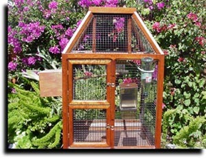 lady gouldian finch breeding - ladygouldianfinch.com - cages