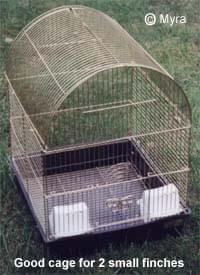 lady gouldian finch cage or aviary - Article on Housing