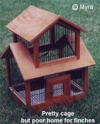 lady gouldian finch cage or Aviary? - Article on Housing