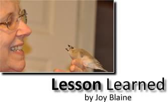 Lesson Learned by Joy Blaine - ladygouldianfinch.com