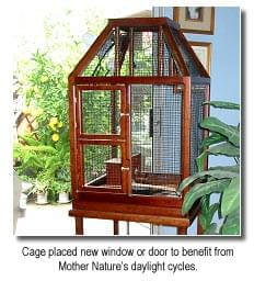 The Cycles of the Season - photo of cage and benefits of daylight