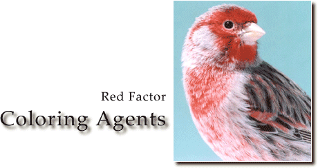 Red Factor Coloring Agents - Title - Article - ladygouldianfinch.com